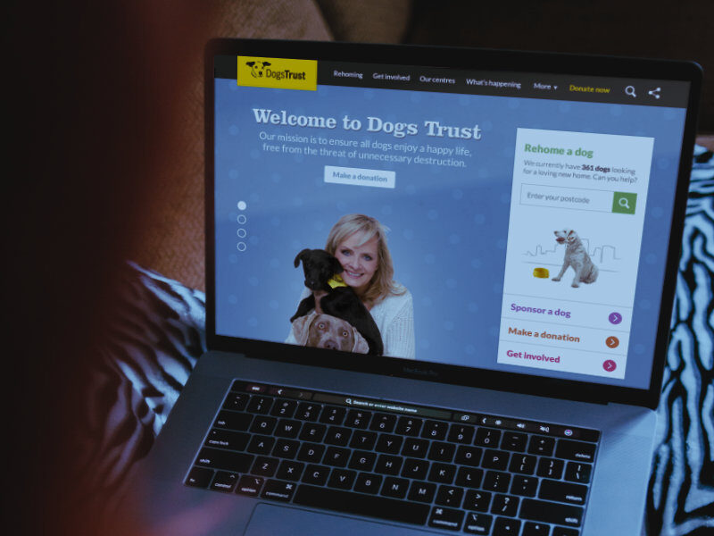 Dogs Trust